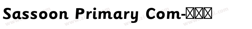 Sassoon Primary Com字体转换